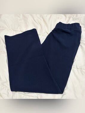 Abercrombie & Fitch Navy Dress Pants
